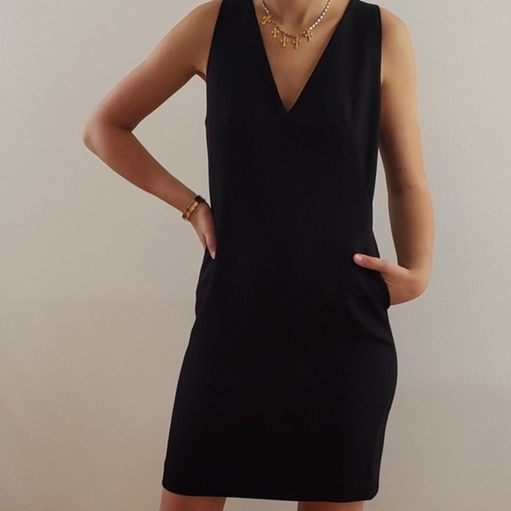 Aritzia Babaton Louie Shift Dress